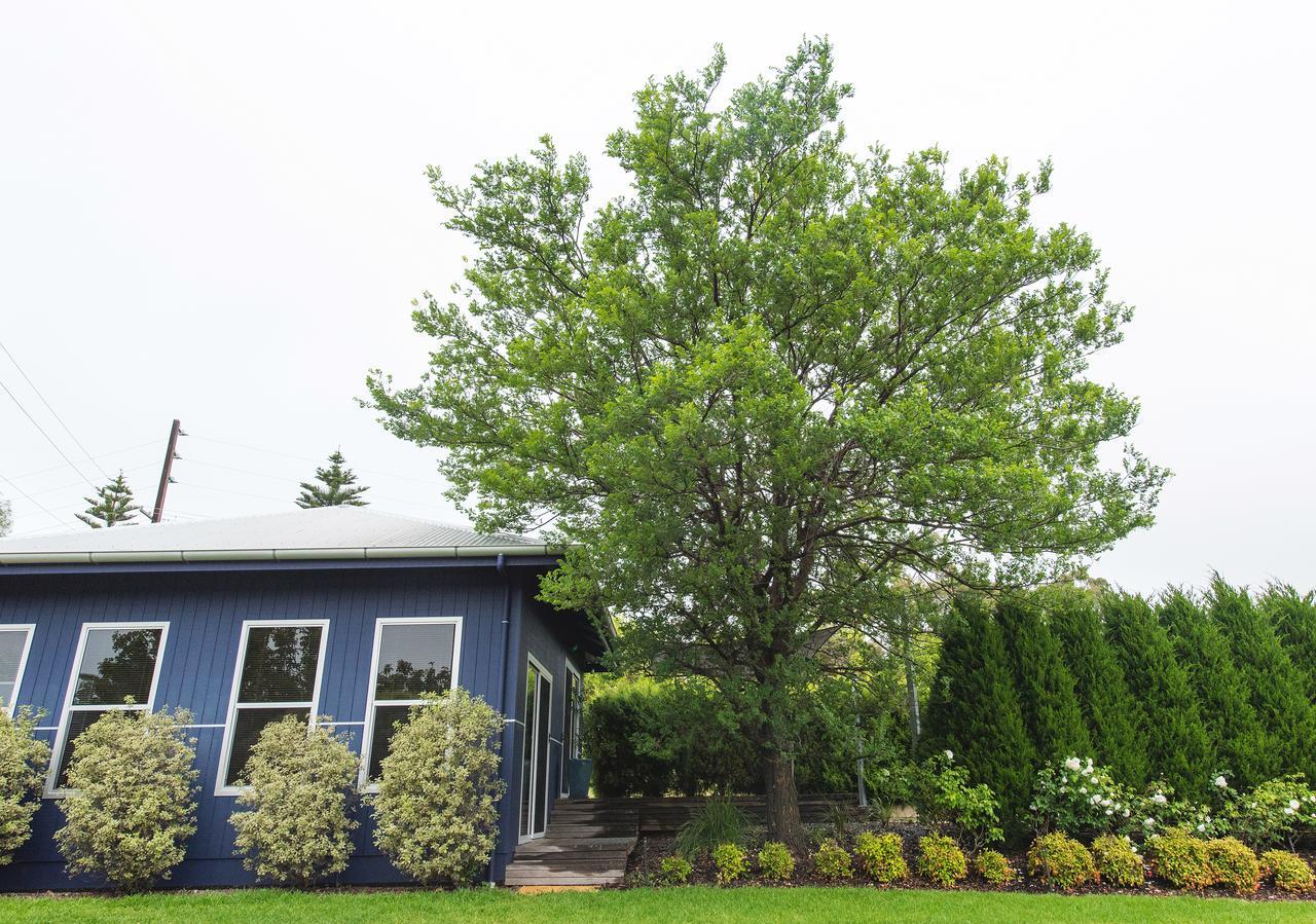 S T U D I O 22 Peaceful Retreat With Garden Views Apartment Port Lincoln Exterior photo